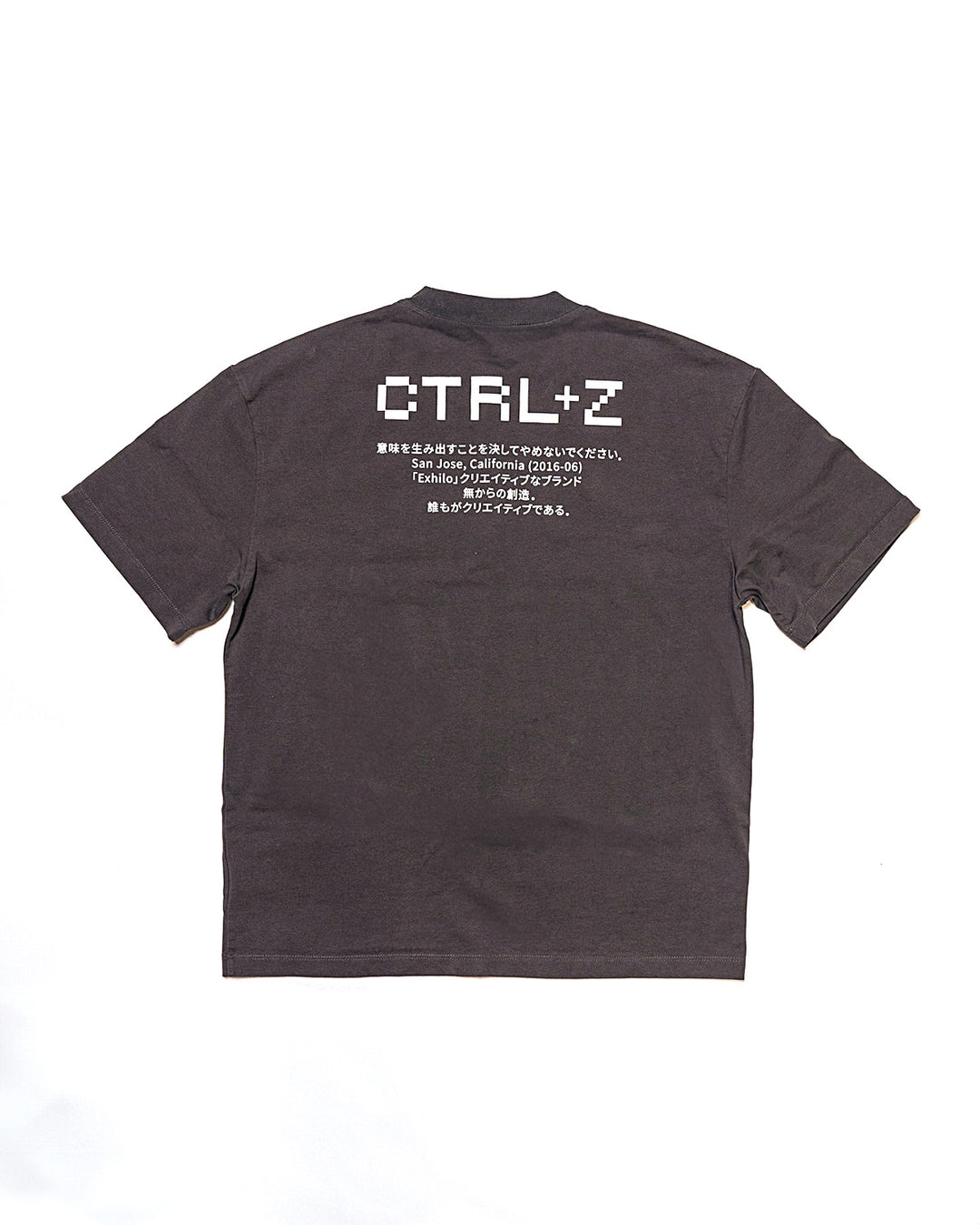 CTRL Z Heavyweight T-Shirt